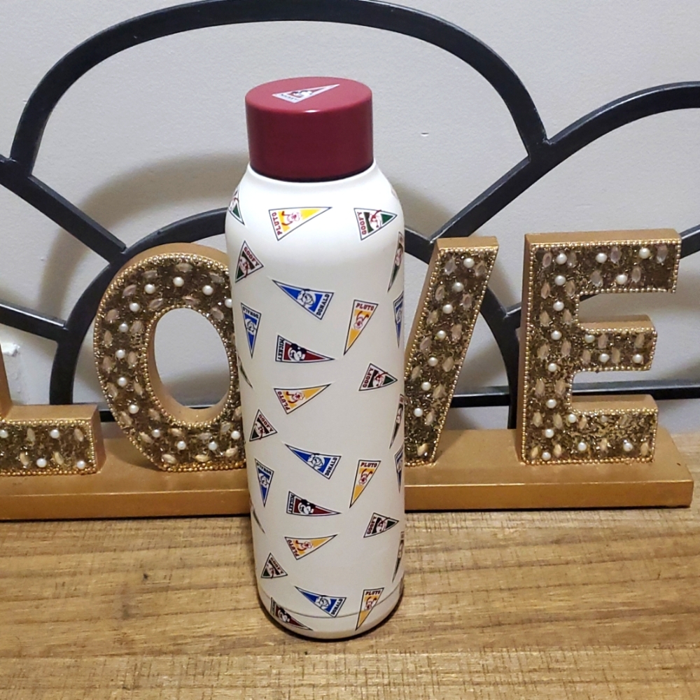 Disney Parks Mickey Mouse and Friends Flags Water Bottle